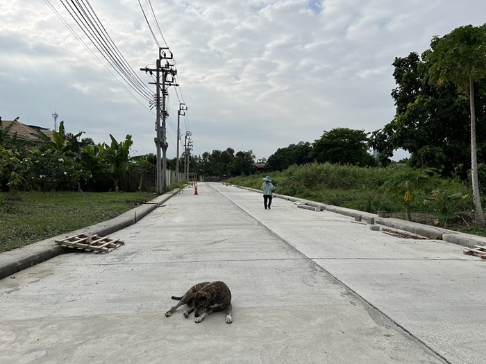 ขาย ที่ดิน ย่านบางซื่อ เนื้อที่ 70 ตร.วา ซอย วงศ์สว่าง 19 ใกล้ สถานีรถไฟฟ้า MRT วงศ์สว่าง