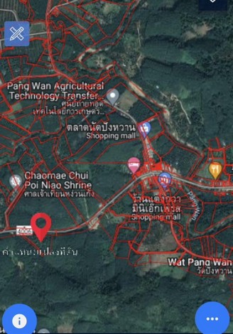 ให้เช่าที่ดินติดถนนสายราชกรูด -หลังสวน (ทางหลวงหมายเลข 4006) บริเวณหลักกิโลเมตรที่ 47 ทำเลดี อ.พะโต๊ะ จ.ชุมพร