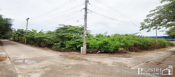 ที่สร้างโกดัง 3.5 ไร่ โดดเด่น ลงตัว หน้ากว้าง 68 เมตร ติดถนน 3 ด้าน ซื้อไว้มีแต่ราคาขึ้น เพียง 1 นาทีจากถนนสายใยรัก  KK5173S