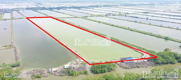 ขาย ที่สร้างโรงงาน 20.75 ไร่ ขอใบ รง.4 ได้ ใกล้ กรุงเทพ หน้ากว้าง+เทรลเลอร์ ลุยสบาย ใกล้ บางขุนเทียน - KK5281S