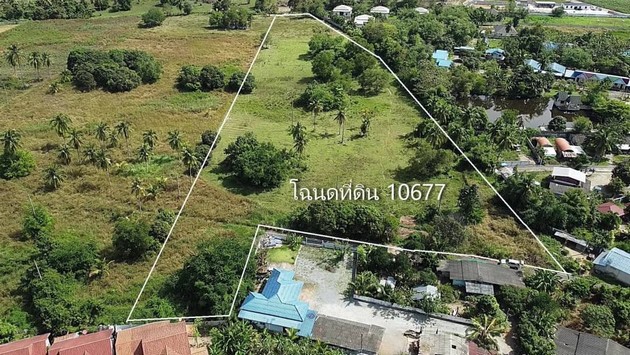 ขายด่วน ขายที่ดิน ตั้งอยู่บนถนนพะเนียงพัฒนา1 เข้าซอยอีก50 เมตร อ.สัตหีบ จ.ชลบุรี