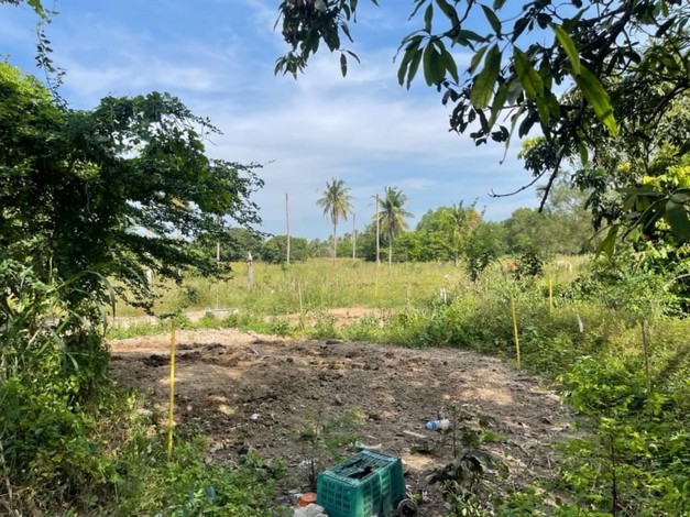 ขายด่วน ขายที่ดิน ตั้งอยู่บนถนนพะเนียงพัฒนา1 เข้าซอยอีก50 เมตร อ.สัตหีบ จ.ชลบุรี