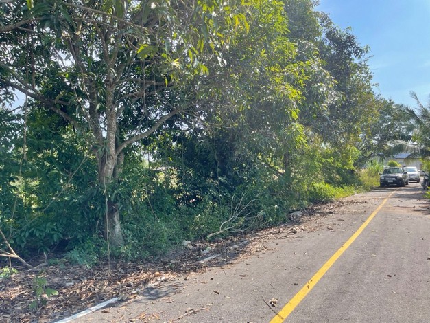 ขายด่วน ขายที่ดิน ตั้งอยู่บนถนนพะเนียงพัฒนา1 เข้าซอยอีก50 เมตร อ.สัตหีบ จ.ชลบุรี