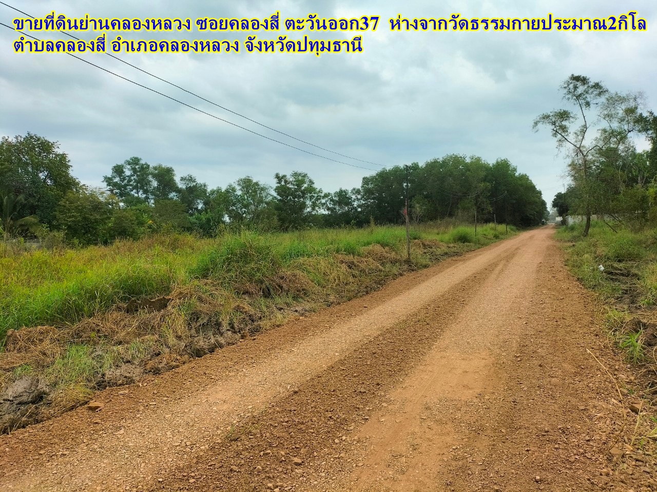ขายที่ดินย่านคลองหลวง ซอยคลองสี่ ตะวันออก37 ตำบลคลองสี่ อำเภอคลองหลวง จังหวัดปทุมธานี 