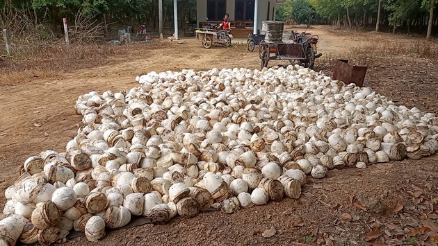 ขายด่วน ที่ดินพร้อมสวนยางพารา อ.สนามชัยเขต จ.ฉะเชิงเทรา ( เจ้าของขายเอง )