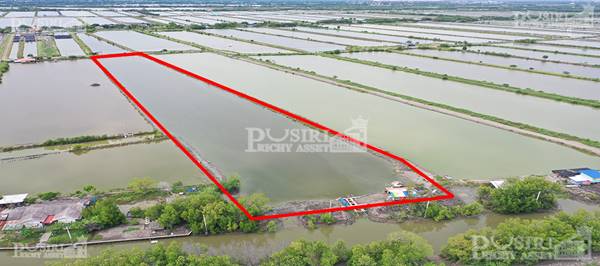 ขายที่ สร้างโรงงานเกือบ 15 ไร่ ขอใบ รง.4 ได้ ใกล้กรุงเทพ เทรลเลอร์ เข้าสะดวก เส้นบางขุนเทียน - พันท้าย - KK5301S
