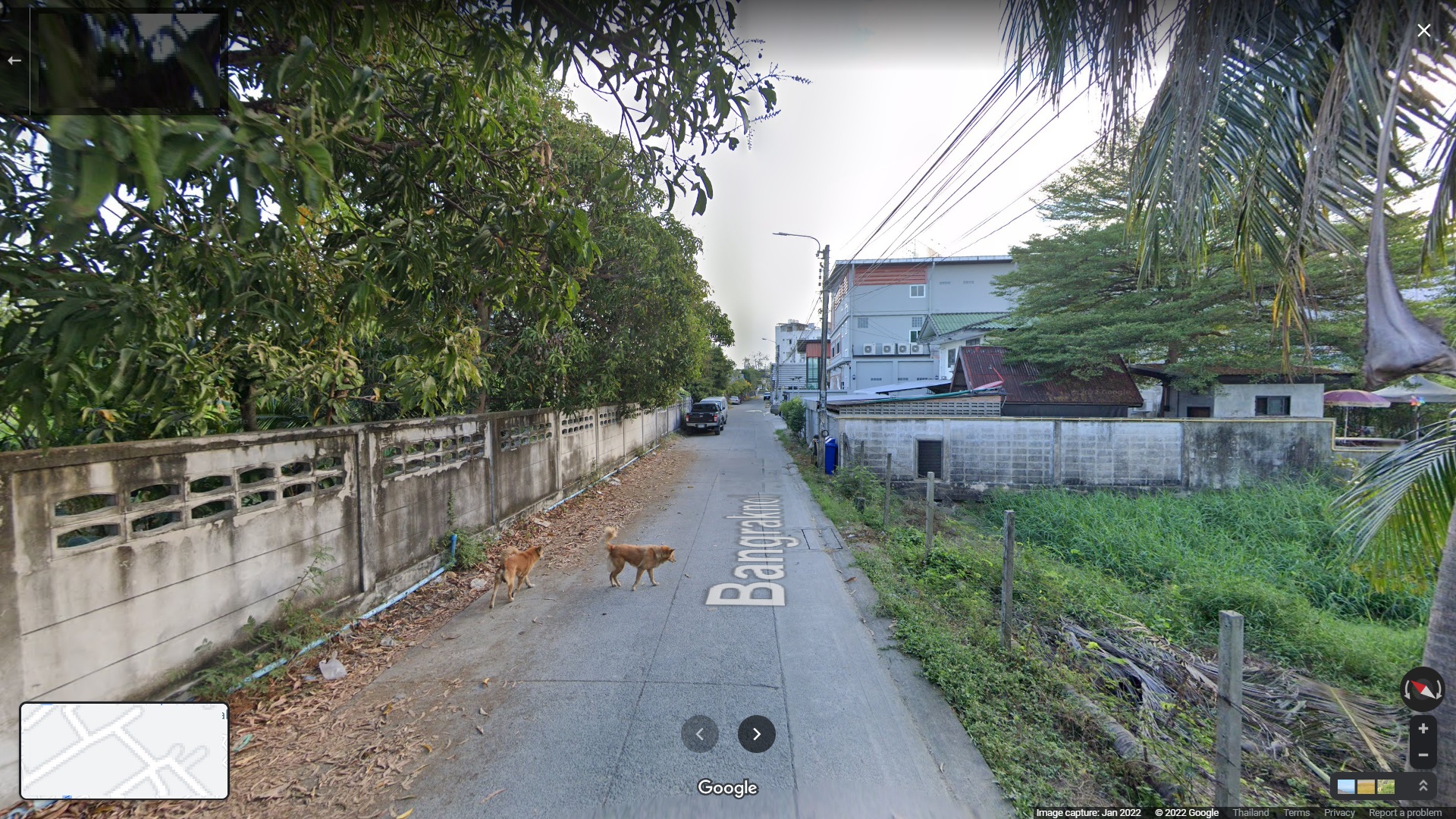 ที่ดินใกล้ถนนราชพฤกษ์170เมตร ซอยบางรักน้อย เหมาะทำโกดัง สำนักงาน บ้านพัก