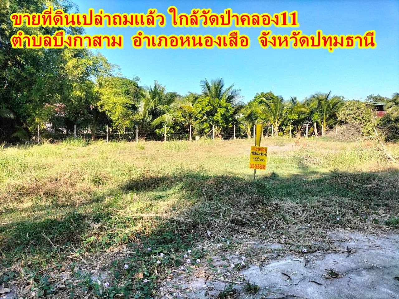 ขายที่ดินเปล่าถมแล้ว ใกล้วัดป่าคลอง11 ตำบลบึงกาสาม อำเภอหนองเสือ จังหวัดปทุมธานี 