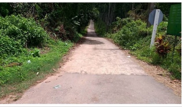ขายที่ดินสวยสวนมังคุดบ้านบางแก้ว พรุตาโรย อำเภอละอุ่น จังหวัดระนอง