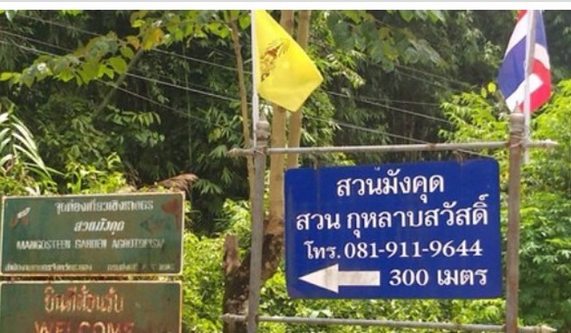 ขายที่ดินสวยสวนมังคุดบ้านบางแก้ว พรุตาโรย อำเภอละอุ่น จังหวัดระนอง