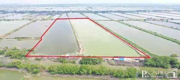 ขาย ที่ราคาพิเศษ สร้างโรงงานได้ใกล้พระราม2 บางขุนเทียน 35.5ไร่ ขอใบ รง.4 ได้ เทรลเลอร์ เข้าสะดวก เส้นบางขุนเทียน - พันท้าย KK5374S