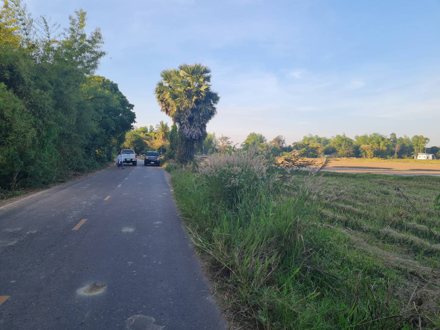 ขายที่ดิน 5-3-32.9 THB2,624,512 เมืองเพีย กุดจับ อุดรธานี