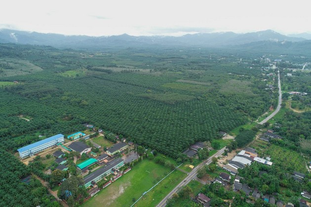 ขายที่ดินสวยสวนปาล์ม ทำเลดี เจ้าของขายเอง อ.กะเปอร์ จ.ระนอง