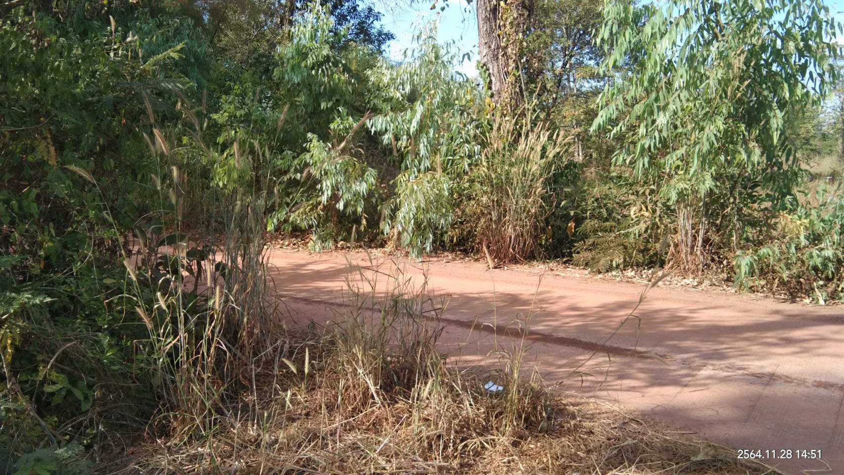 ขายที่ดิน 25-0-36 THB10,000,000 สามพร้าว เมือง อุดรธานี