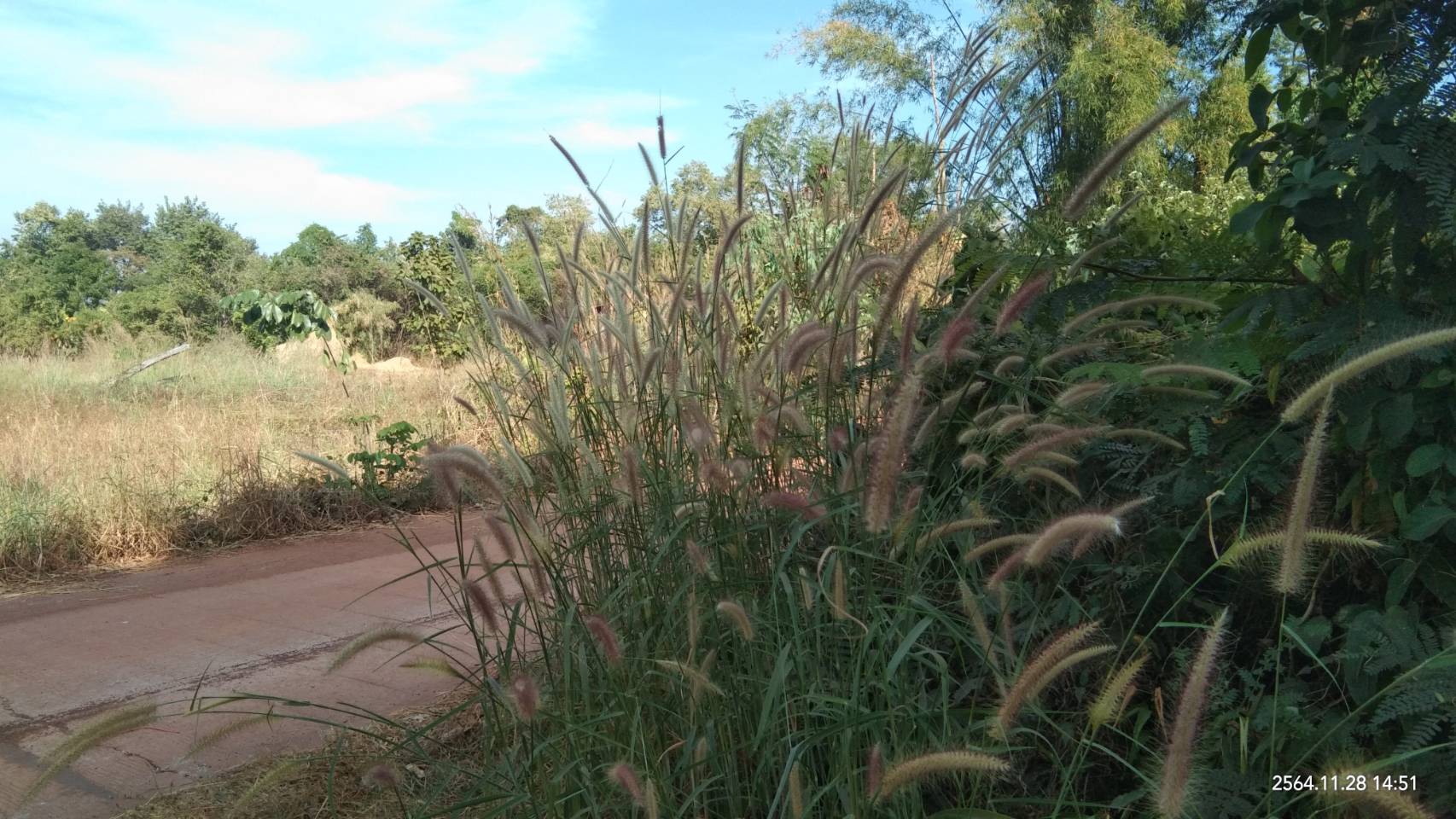 ขายที่ดิน 25-0-36 THB10,000,000 สามพร้าว เมือง อุดรธานี