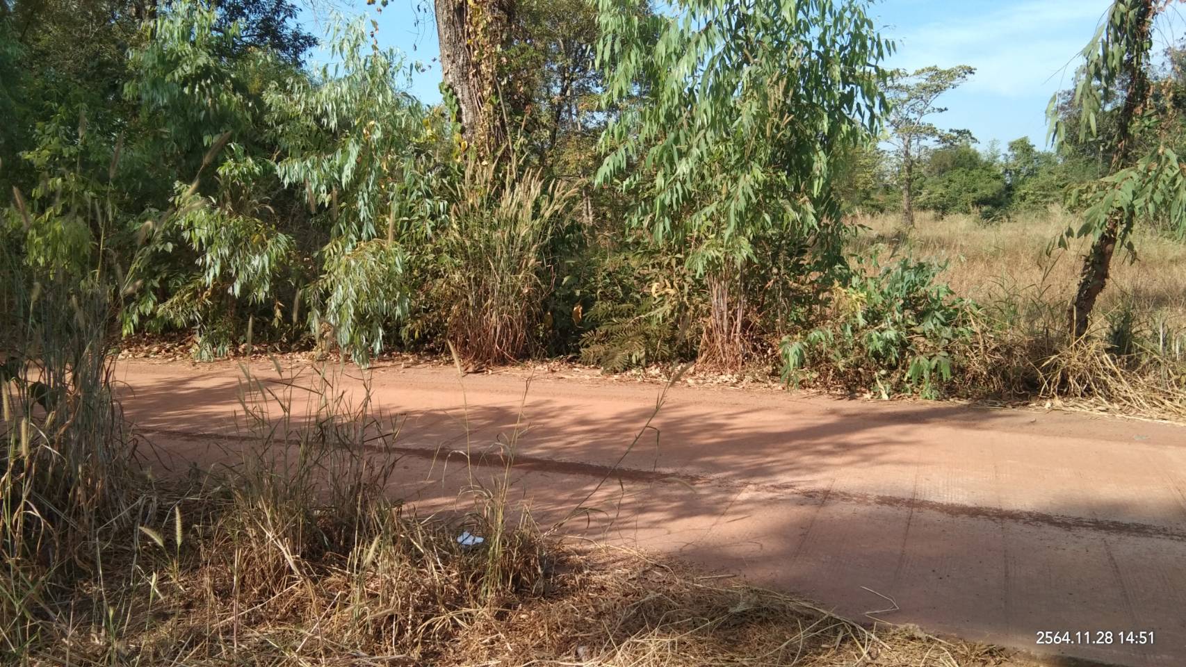 ขายที่ดิน 25-0-36 THB10,000,000 สามพร้าว เมือง อุดรธานี