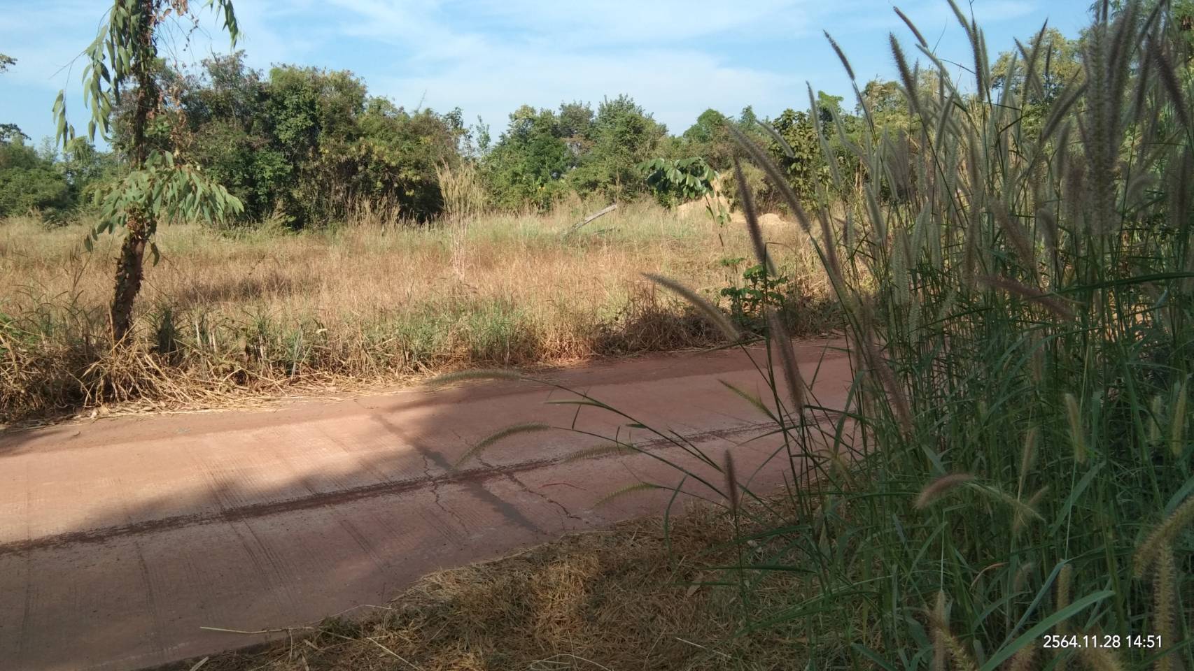 ขายที่ดิน 25-0-36 THB10,000,000 สามพร้าว เมือง อุดรธานี