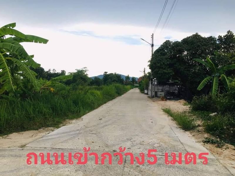 ขายที่ดินสวยถมแล้ว​   ตำบล มาบไผ่ อำเภอบ้านบึง ชลบุรี