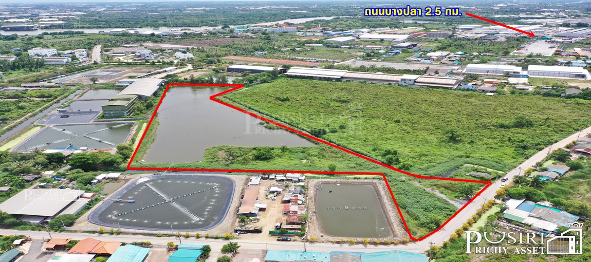 ที่สีม่วง 14 ไร่เศษ ราคาที่ต่ำราคาตลาด 35% เข้าออกได้ถึง 3 เส้นทาง ใกล้ ถ.บางปลา ถ.เศรษฐกิจ และ ถ.พระราม 2  KK3690S