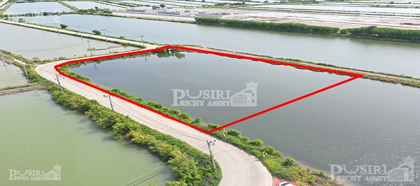 ซื้อเเบบติดถนน 2 ด้านไปเลย ที่สร้างโรงงานเกือบ 4 ไร่ ขอใบ รง.4 ได้ใกล้กรุงเทพ เส้นบางขุนเทียน-พันท้าย KK5325S