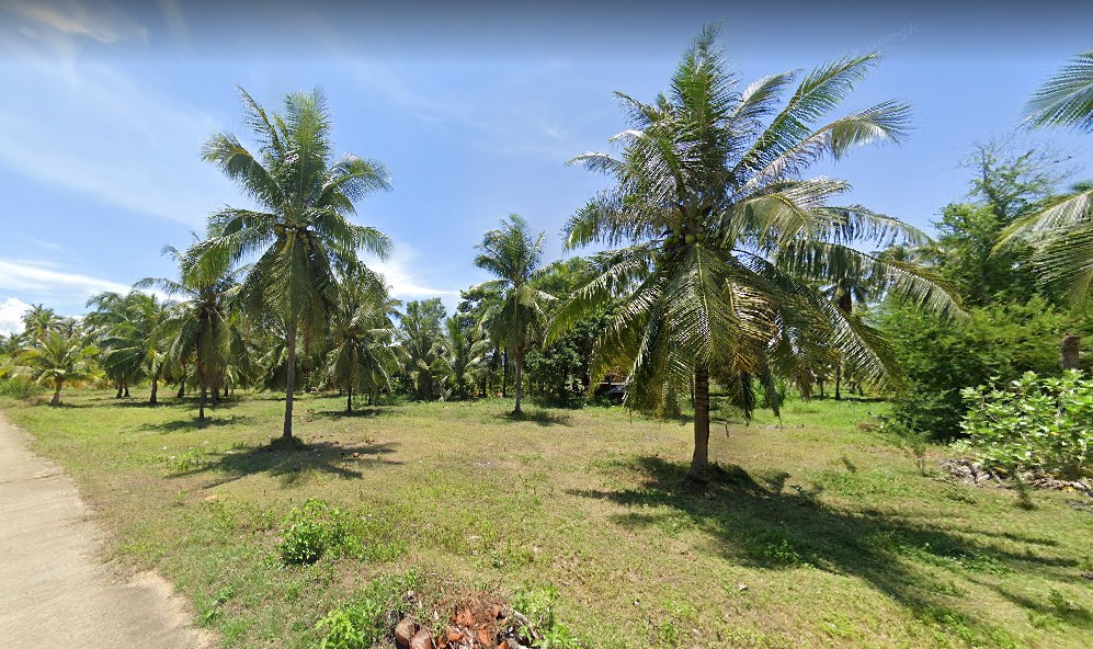 ขายด่วนที่ดินสวนมะพร้าว ใกล้หาดบ่อนอก ต.บ่อนอก อ.เมือง จ.ประจวบคีรีขันธ์