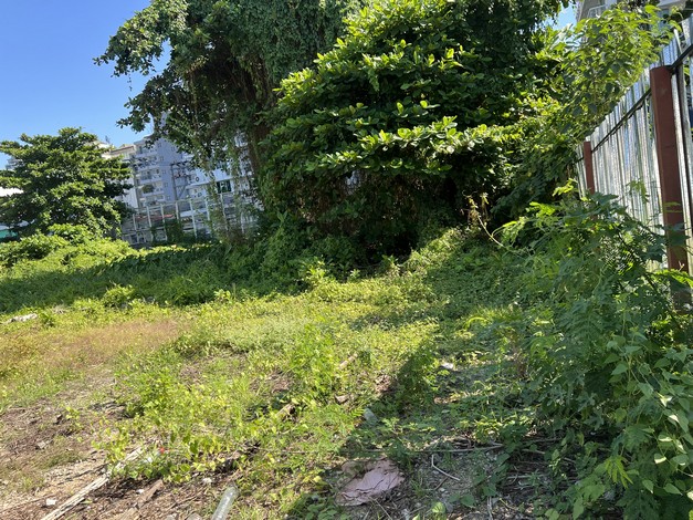 ขายที่ดินเปล่า ทำเลดี อยู่ในหมู่บ้านเปรมฤทัย ซอยสุขุมวิท50 เขตคลองเตย กรุงเทพมหานคร ( เจ้าของขายเอง )