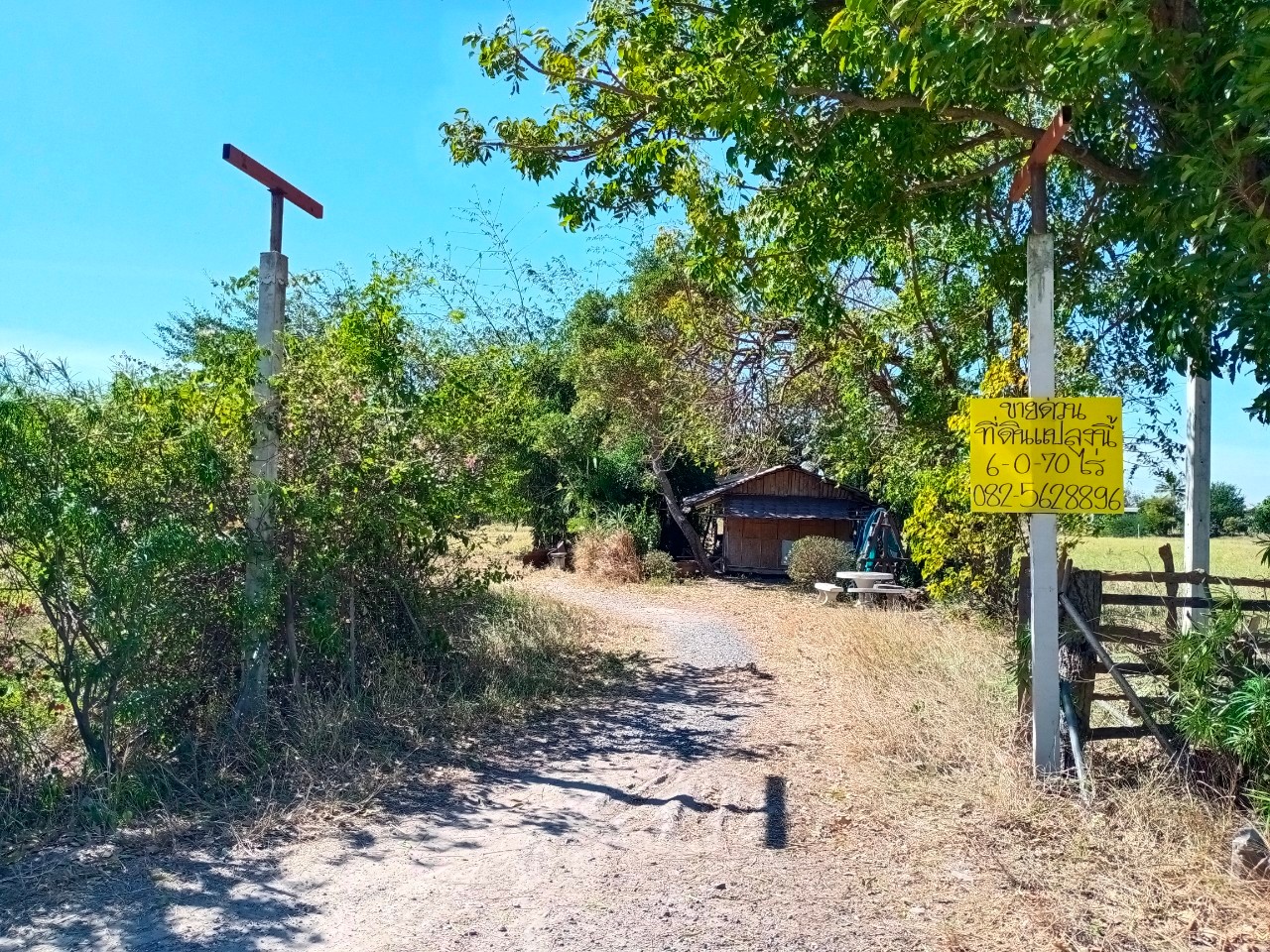 ขายที่ดินสวย ทำเลดี เนื้อที่ 6-0-70 ไร่ ตำบลนิยมชัย อำเภอสระโบสถ์ จังหวัดลพบุรี 