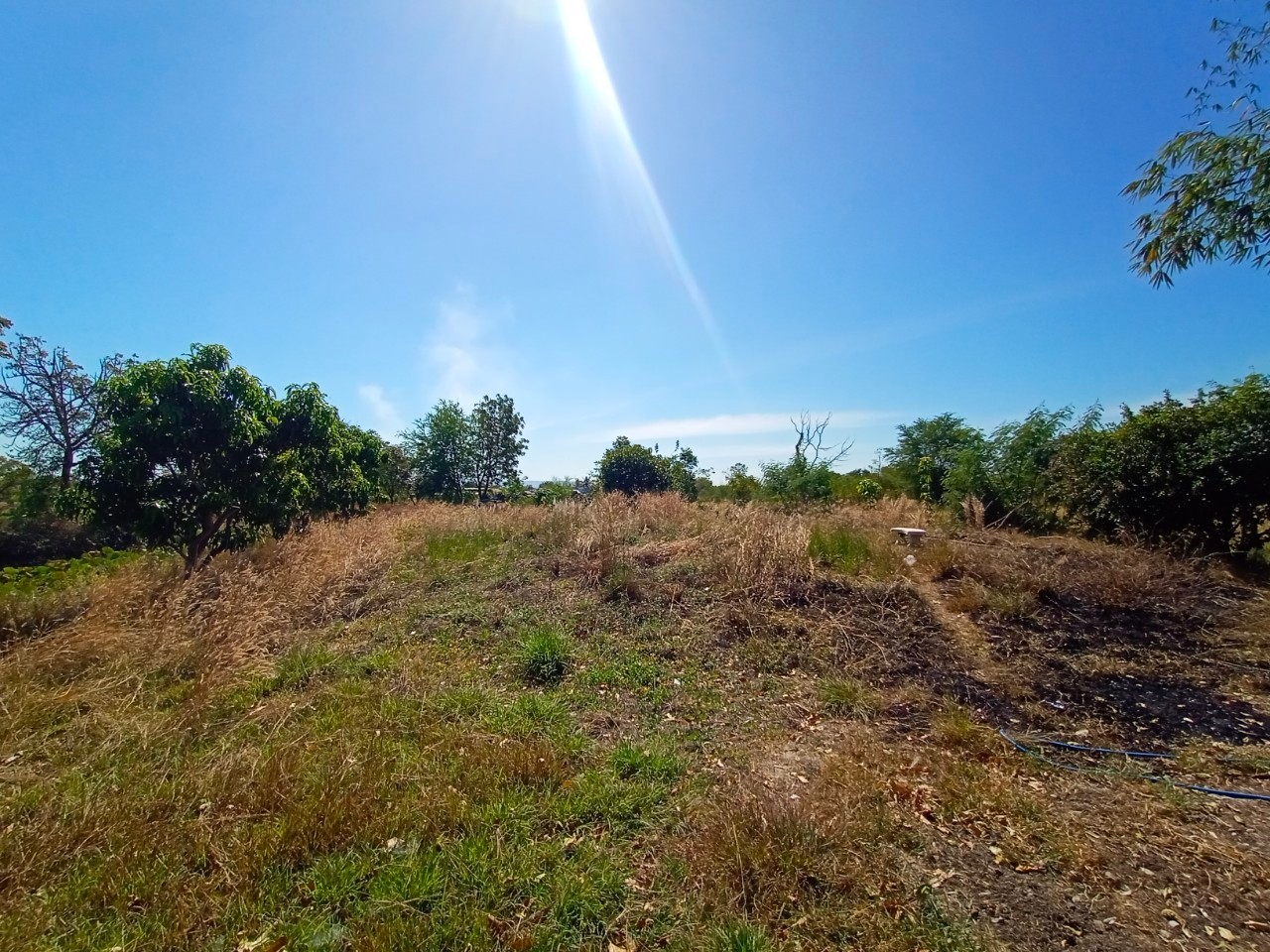 ขายที่ดินสวย ทำเลดี เนื้อที่ 6-0-70 ไร่ ตำบลนิยมชัย อำเภอสระโบสถ์ จังหวัดลพบุรี 