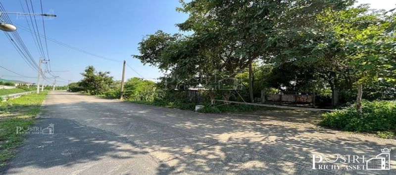 ซื้อทำกำไร สร้างมูลค่าเพิ่มได้ กับที่ 6 ไร่เศษ ใกล้โครงการถนนตัดใหม่กัลปพฤกษ์ พุทธสาคร KK5415S