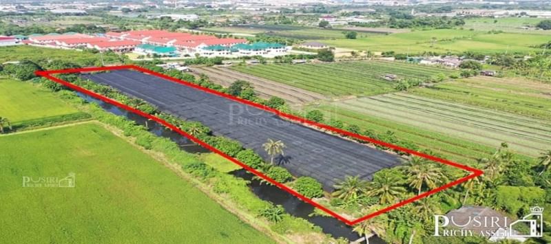 ซื้อทำกำไร สร้างมูลค่าเพิ่มได้ กับที่ 6 ไร่เศษ ใกล้โครงการถนนตัดใหม่กัลปพฤกษ์ พุทธสาคร KK5415S