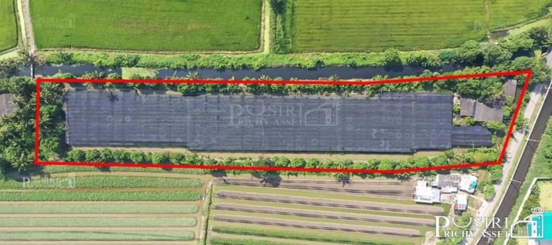 ซื้อทำกำไร สร้างมูลค่าเพิ่มได้ กับที่ 6 ไร่เศษ ใกล้โครงการถนนตัดใหม่กัลปพฤกษ์ พุทธสาคร KK5415S