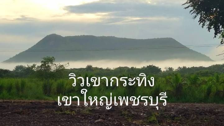 ขายที่ดินสวย พร้อมโอน ในแปลงมีมะม่วงน้ำดอกไม้สีทอง หนองหญ้าปล้องเมาเท่นวิว เพชรบุรี