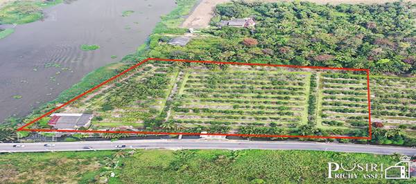 ขาย ที่สวยริมแม่น้ำท่าจีน 10 ไร่ ชมวิวเต็ม 111 เมตร วิวโค้งน้ำด้านข้างติดถนน และคลอง เหมาะกับทำบ้านหรู โครงการและซื้อทำกำไร ใกล้วัดท่าไม้ - KK4899S