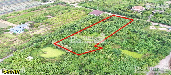 ที่สวย ใช้ทำโกดัง/ซื้อทำกำไร 1.5 ไร่ ฮวงจุ้ยดีทางทิศใต้รับลมตลอดปี ใกล้ถนนสายใยรัก ต่อไปใกล้ถนนตัดใหม่กัลปพฤกษ์ พุทธสาคร kk5101s
