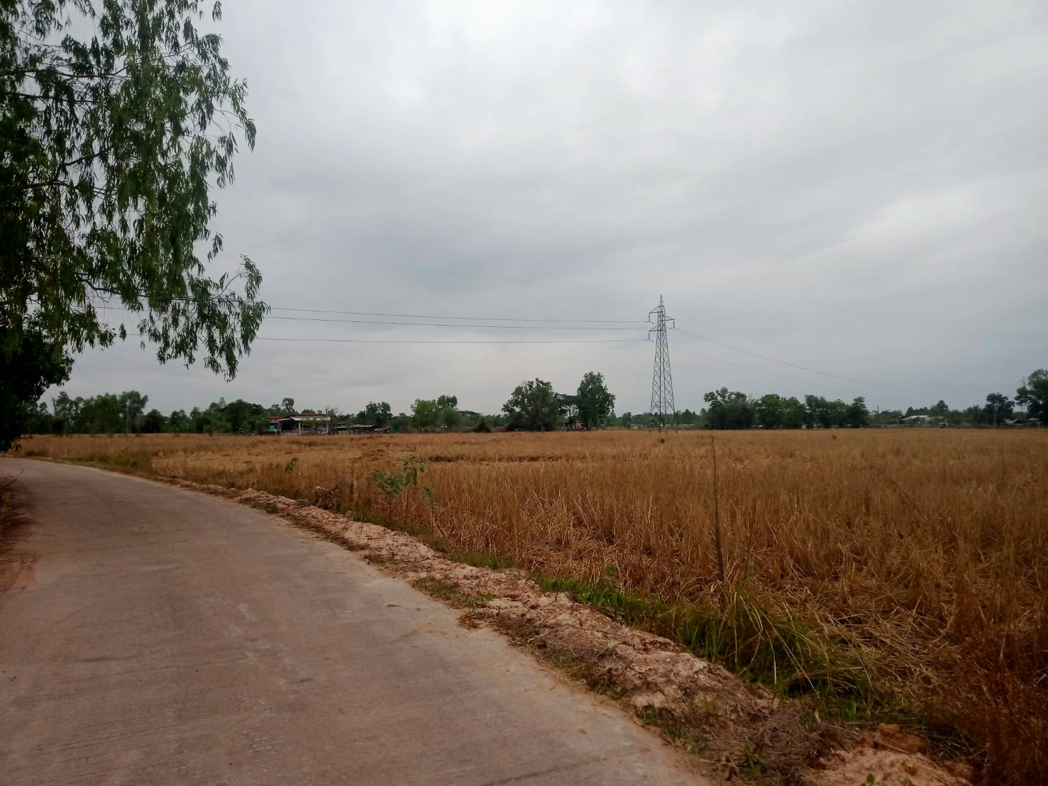 ขายที่ดิน 12-0-88 THB6,110,000 เชียงพิณ เมือง อุดรธานี