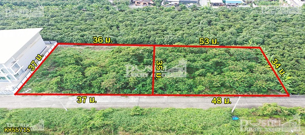 นางฟ้าตัวน้อยสีม่วง 330 ตร.ว. มี 2 เเปลง ขอใบ รง.4 ได้ทุกประเภท ถมพร้อมสร้าง ครบน้ำ,ไฟ,ท่อระบายน้ำ ใกล้ถนนเศรษฐกิจ kk5571s