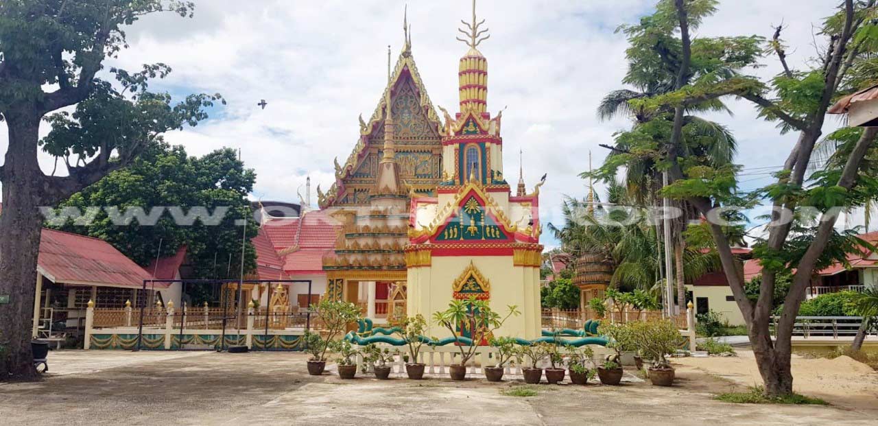 ที่ดิน ถ.ทล.ชนบทพิจิตร3016 ต.วังสำโรง อ.บางมูลนาก จ.พิจิตร