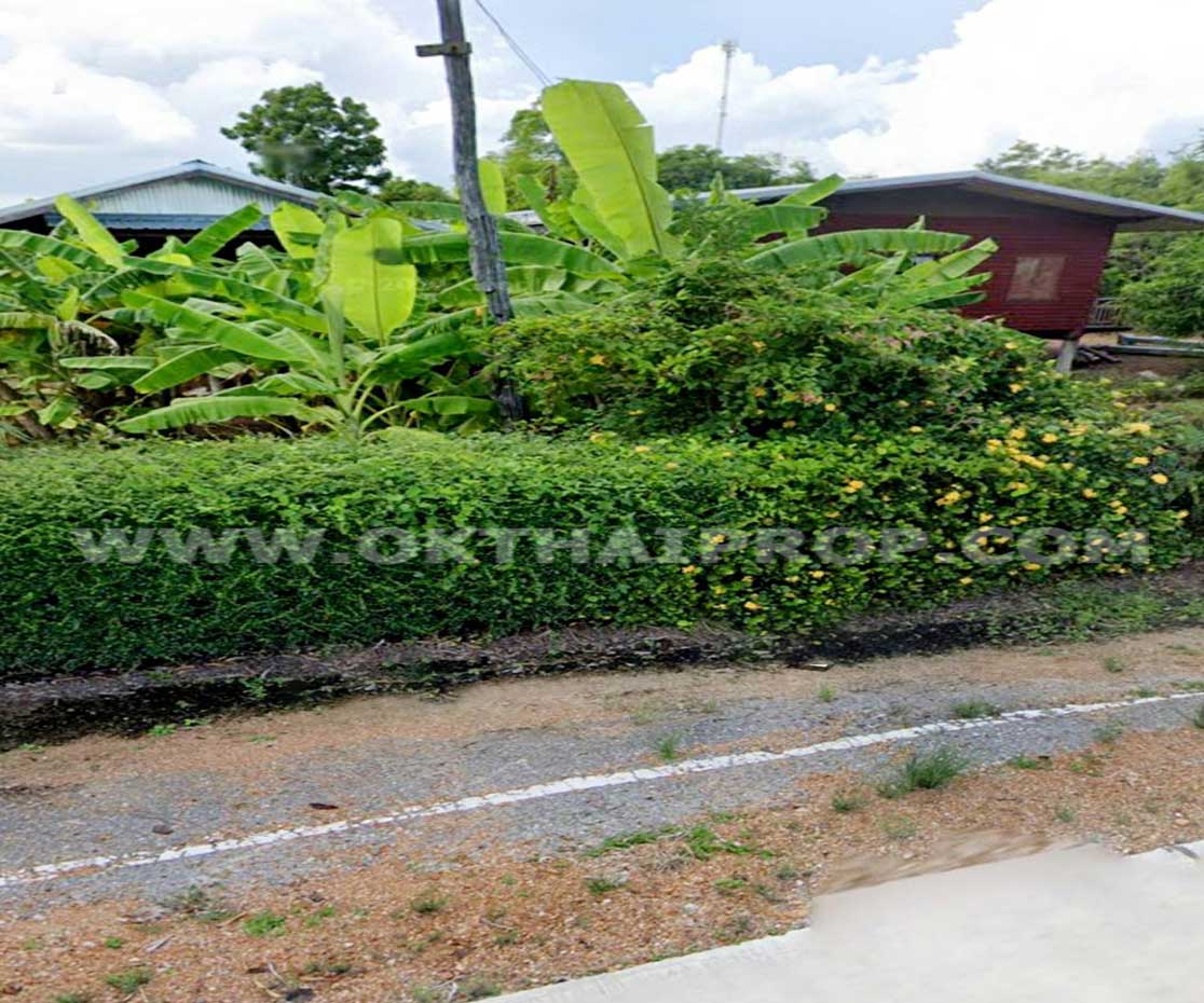 ที่ดิน ถ.ทล.ชนบทพิจิตร3016 ต.วังสำโรง อ.บางมูลนาก จ.พิจิตร