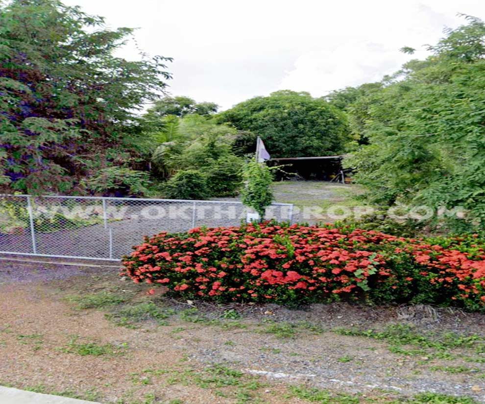 ที่ดิน ถ.ทล.ชนบทพิจิตร3016 ต.วังสำโรง อ.บางมูลนาก จ.พิจิตร