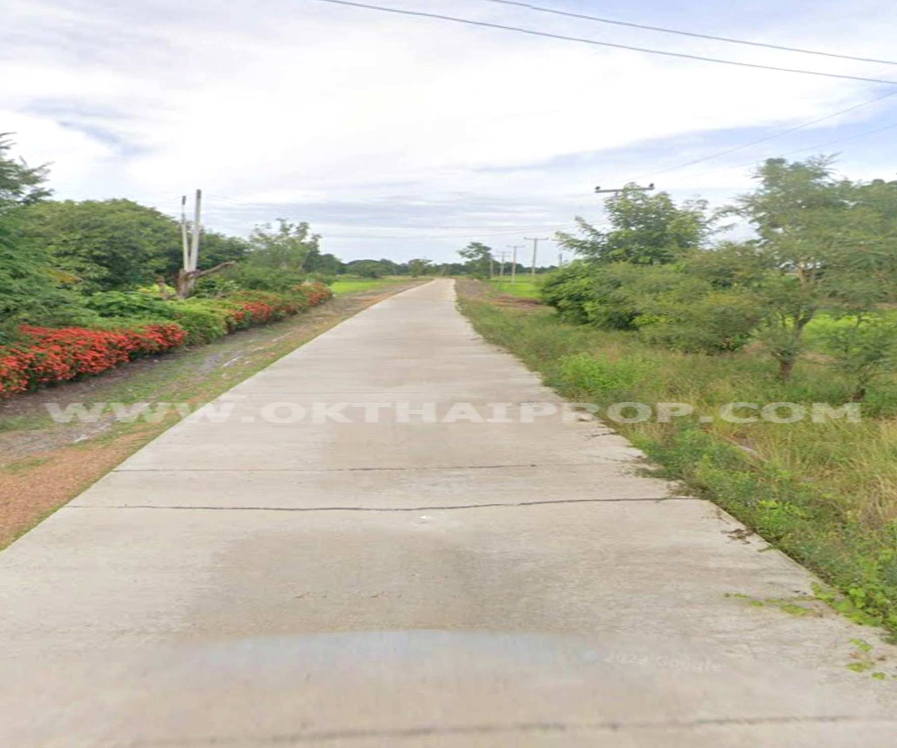 ที่ดิน ถ.ทล.ชนบทพิจิตร3016 ต.วังสำโรง อ.บางมูลนาก จ.พิจิตร