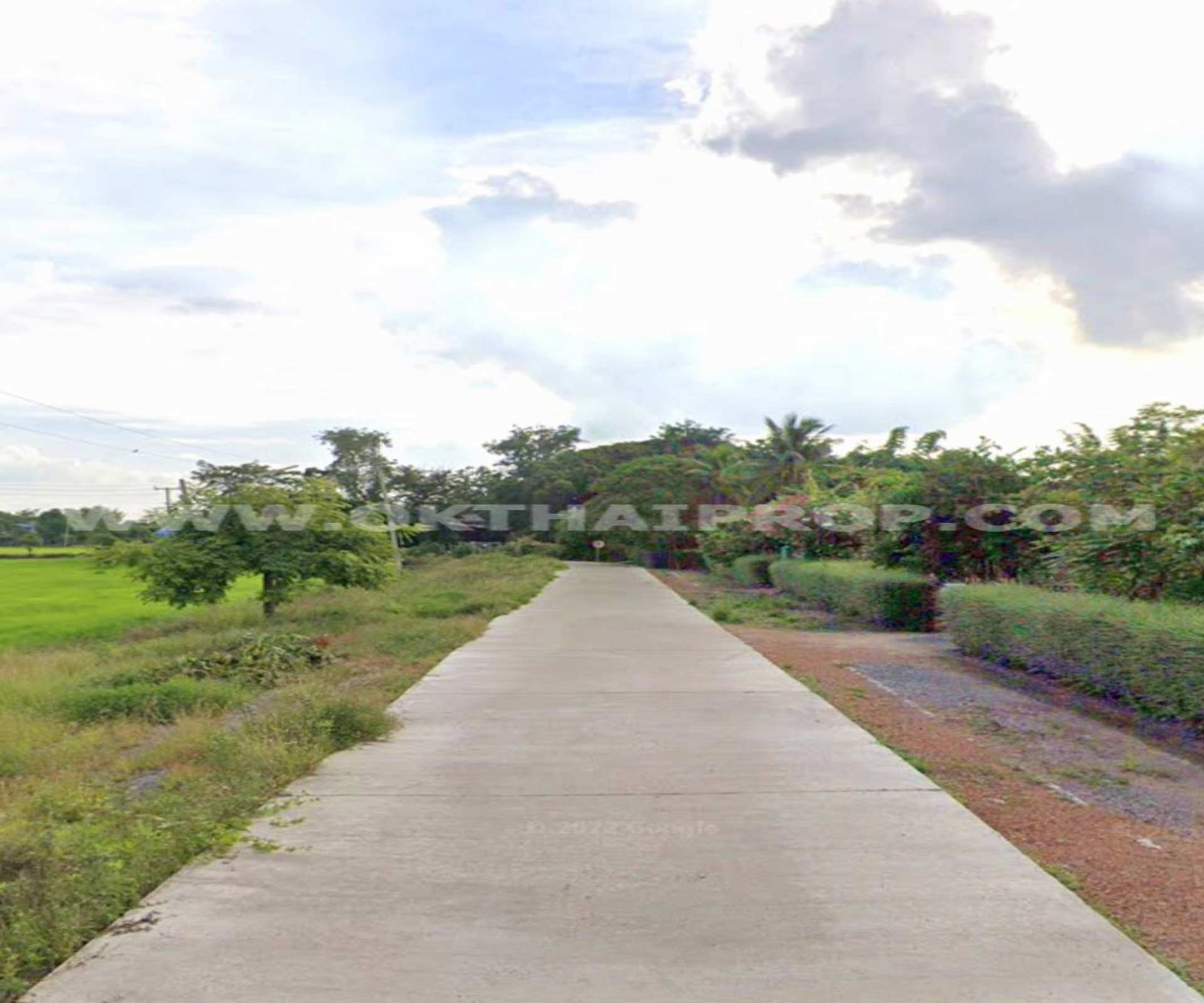 ที่ดิน ถ.ทล.ชนบทพิจิตร3016 ต.วังสำโรง อ.บางมูลนาก จ.พิจิตร