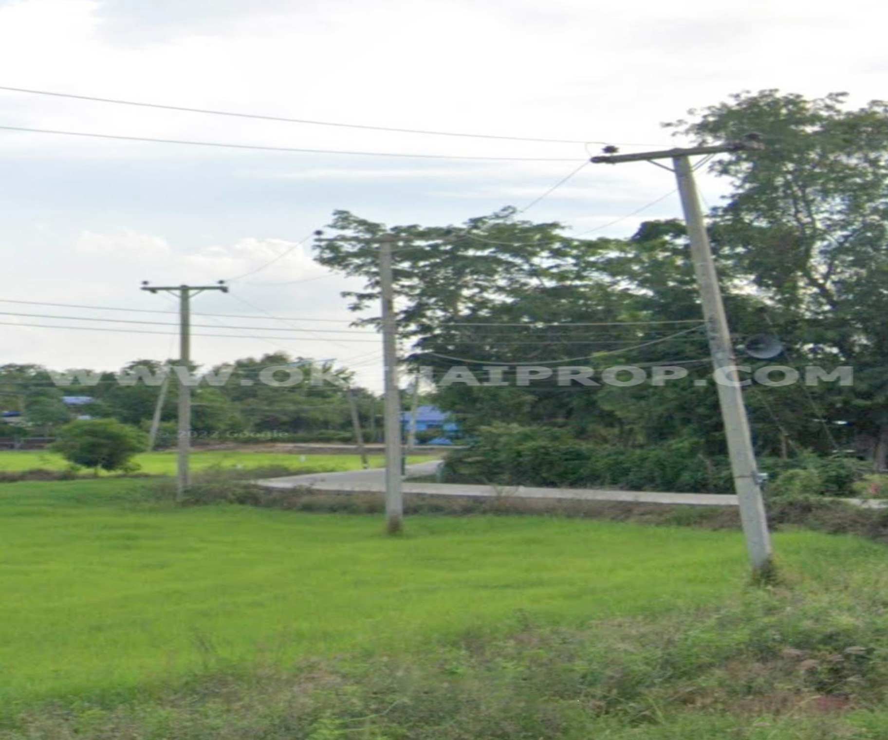 ที่ดิน ถ.ทล.ชนบทพิจิตร3016 ต.วังสำโรง อ.บางมูลนาก จ.พิจิตร