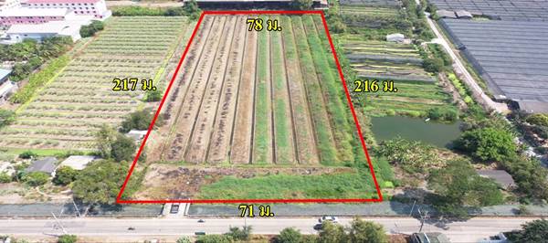 ขายที่อนาคตดี 10ไร่ ในราคาโปรโมชั่น ใกล้แนวขยายเส้นกัลปพฤกษ์ ติด ถ.เลียบคลองหมื่นปรารมย์ ใกล้สายสี่ตัดใหม่ - บางบอน 5 - KK2174S