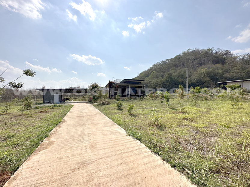 ที่ดิน ต.คลองม่วง อ.ปากช่อง จ.นครราชสีมา