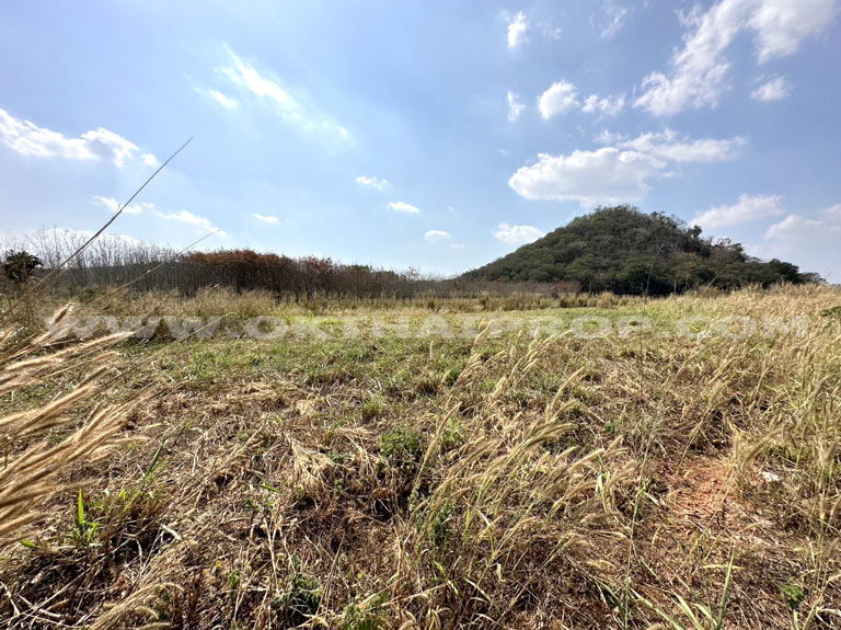 ที่ดิน ต.คลองม่วง อ.ปากช่อง จ.นครราชสีมา