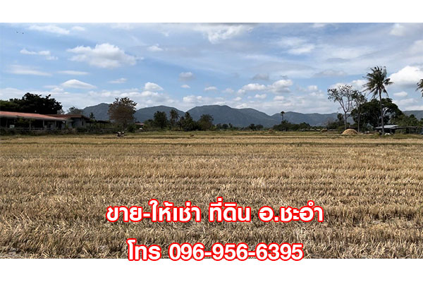 ขาย ให้เช่า ที่ดินเปล่า 3 ไร่ ชะอำ หัวหิน เพชรบุรี มีถนนเข้าออก