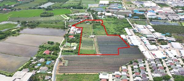 ขายที่ดิน 23ไร่ อนาคตดี ใกล้ตัดใหม่ กัลปพฤกษ์-กระทุ่มแบน พุทธสาคร และเศรษฐกิจ ในราคาที่จับต้องได้ - KK1946S