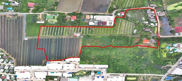 ขายที่ดิน 23ไร่ อนาคตดี ใกล้ตัดใหม่ กัลปพฤกษ์-กระทุ่มแบน พุทธสาคร และเศรษฐกิจ ในราคาที่จับต้องได้ - KK1946S