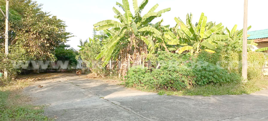 ที่ดินแปลงมุมถมแล้ว ถ.พุทธมณฑลสาย7 สามพราน นครปฐม