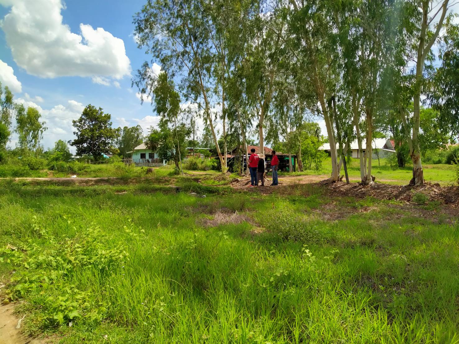 ขายที่ดิน 26-2-92.8 THB20,000,000 บ้านทุ่ม เมือง ขอนแก่น